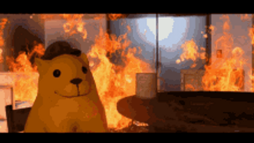 This Is Fine Under Control Bear