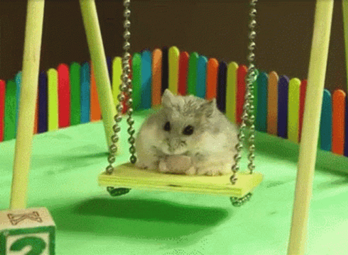 Hamster On Swing