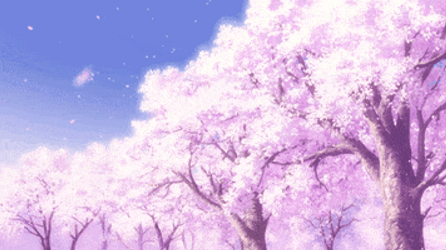Aesthetic Cherry Blossom Animated