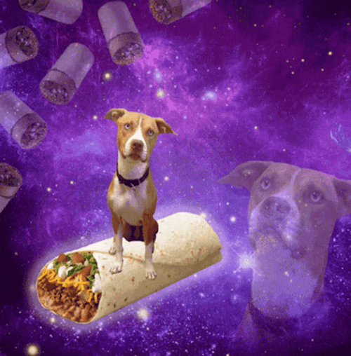 Space Dog Burito Galaxy