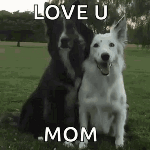 Dog Love U Mom