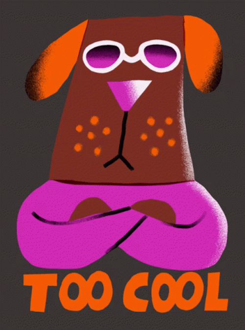 Too Cool Doodle Dog