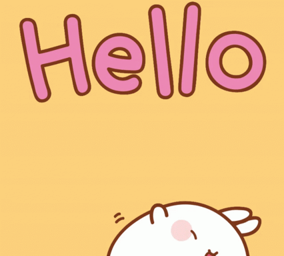 Hello Happy Bunny