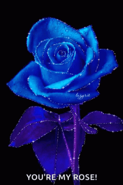 You&re My Blue Rose