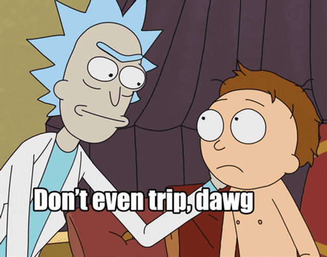 Rick And Morty Don&t Trip Dawg