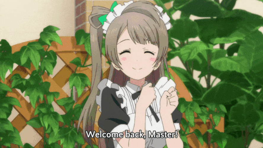 Cute Anime Welcome Back Master