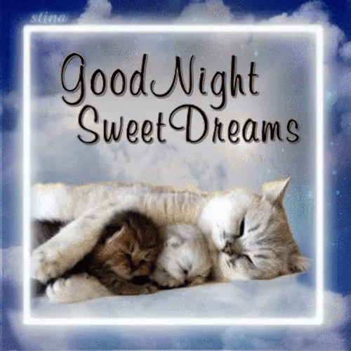 Good Night Sweet Dreams Sleeping Kittens