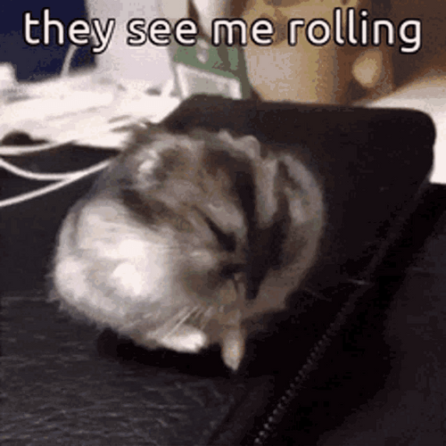 Hamster They See Me Rolling