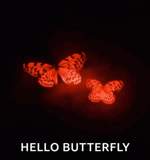 Hello Butterfly Red Aesthetic