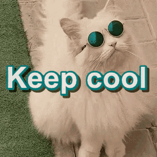 White Fluffy Cat Keep Cool