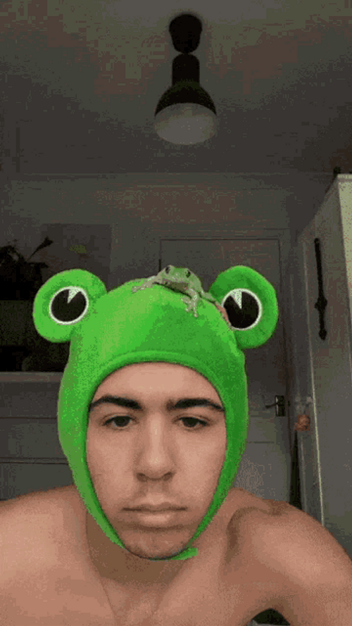 Frog Wearing Frog Hat