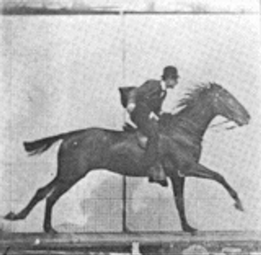 Vintage Horse Riding