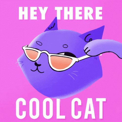Hey There Cool Cat