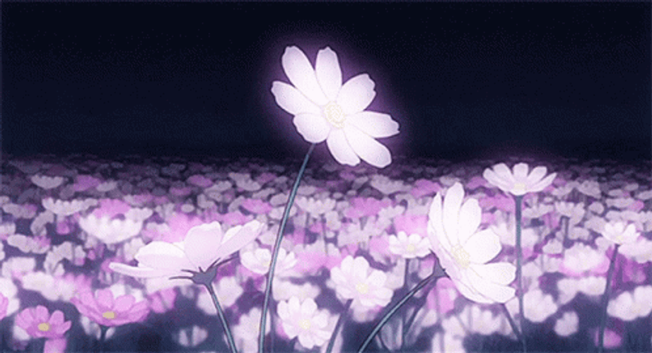 Purple Aesthetic Anime Field Flowers