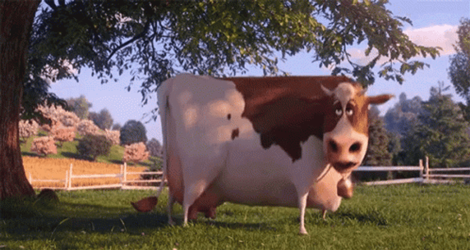Crazy Dancing Cow