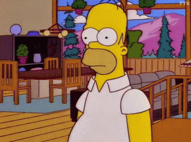Confused Homer Simpson
