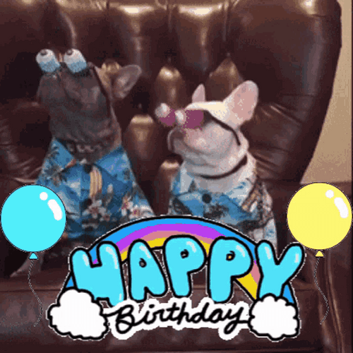 Funny Birthday Dogs Googly Eyes