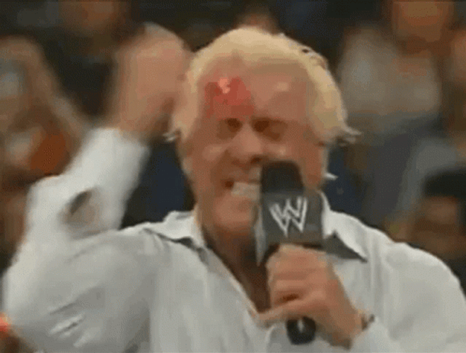 Ric Flair Punching Face