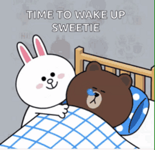 Cony And Brown Wake Up