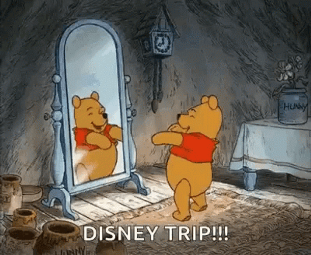 Winnie The Pooh Disney Trip