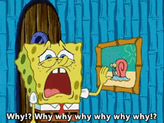 Spongebob Saying Why