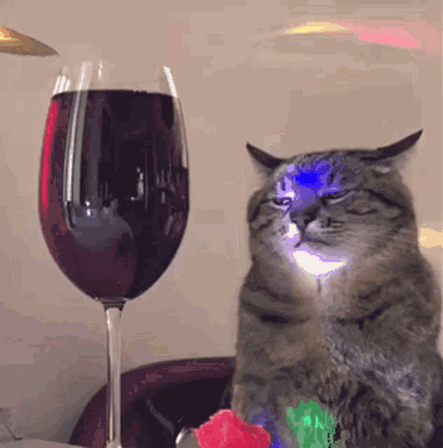 Cat And Red Wine