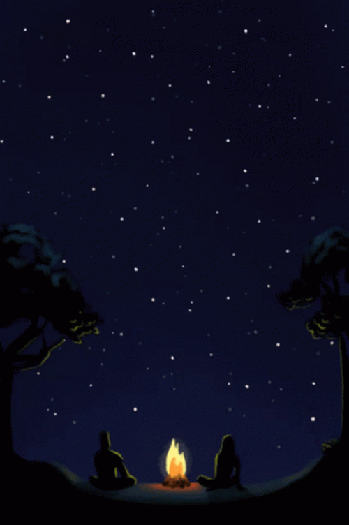 Campfire Under Night Stars