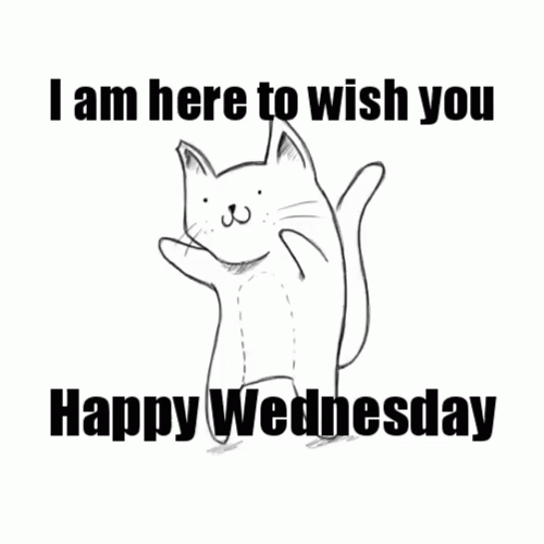 Happy Wednesday Cute Cat